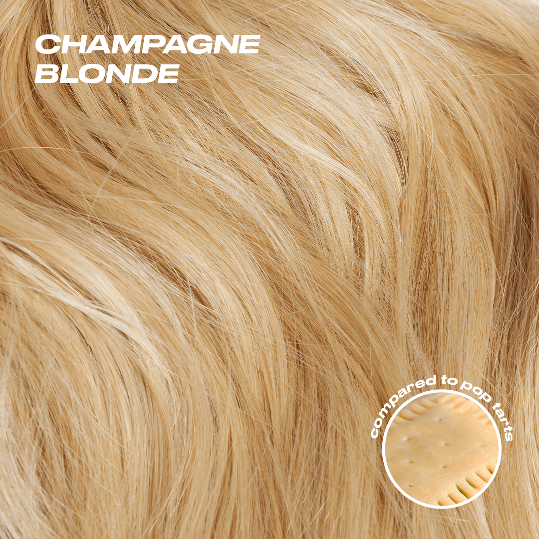 Aly Ponytail Extension - Champagne Blonde - NO STOCK Champagne Blonde