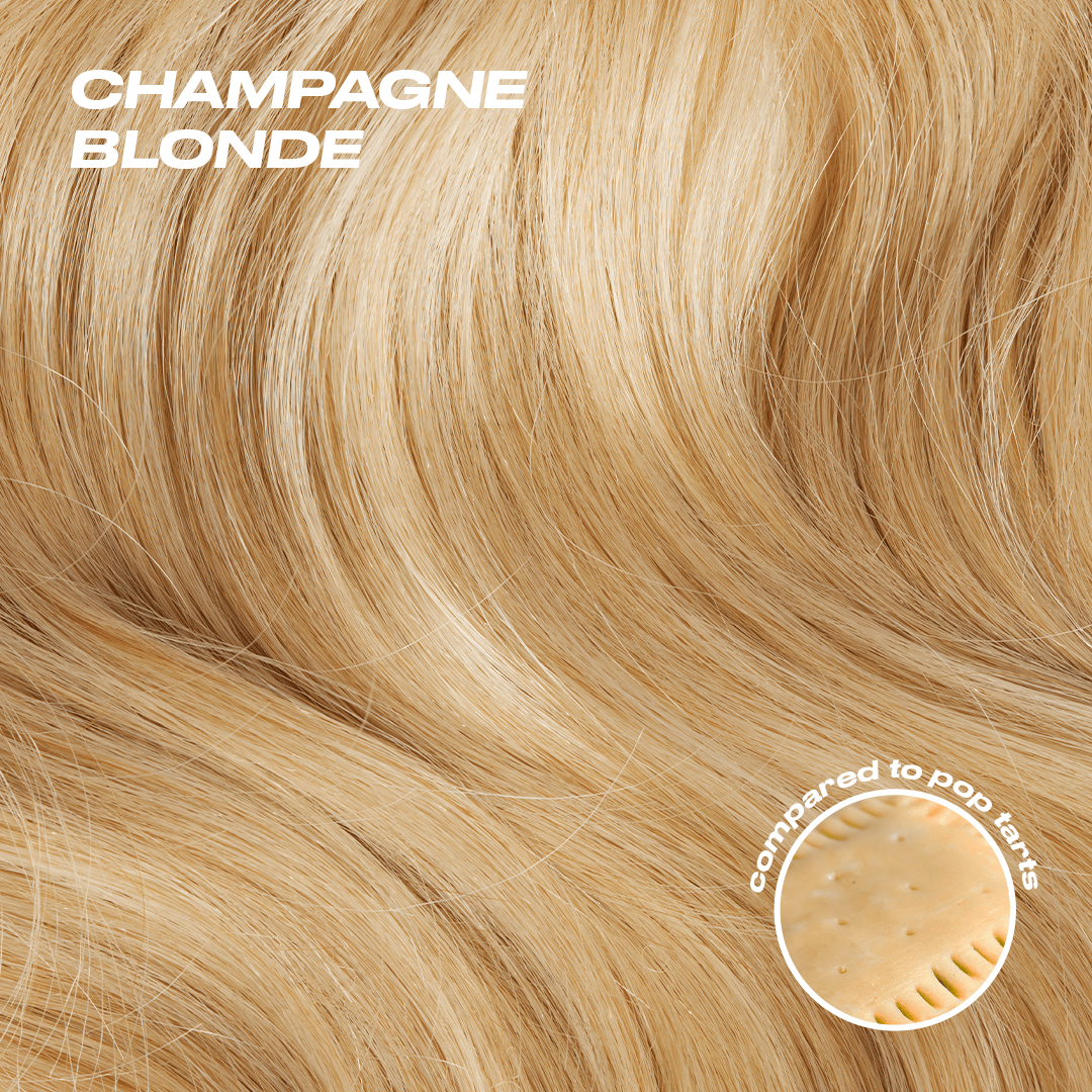 Jordynn Ponytail Extension - Champagne Blonde - NO STOCK Champagne Blonde