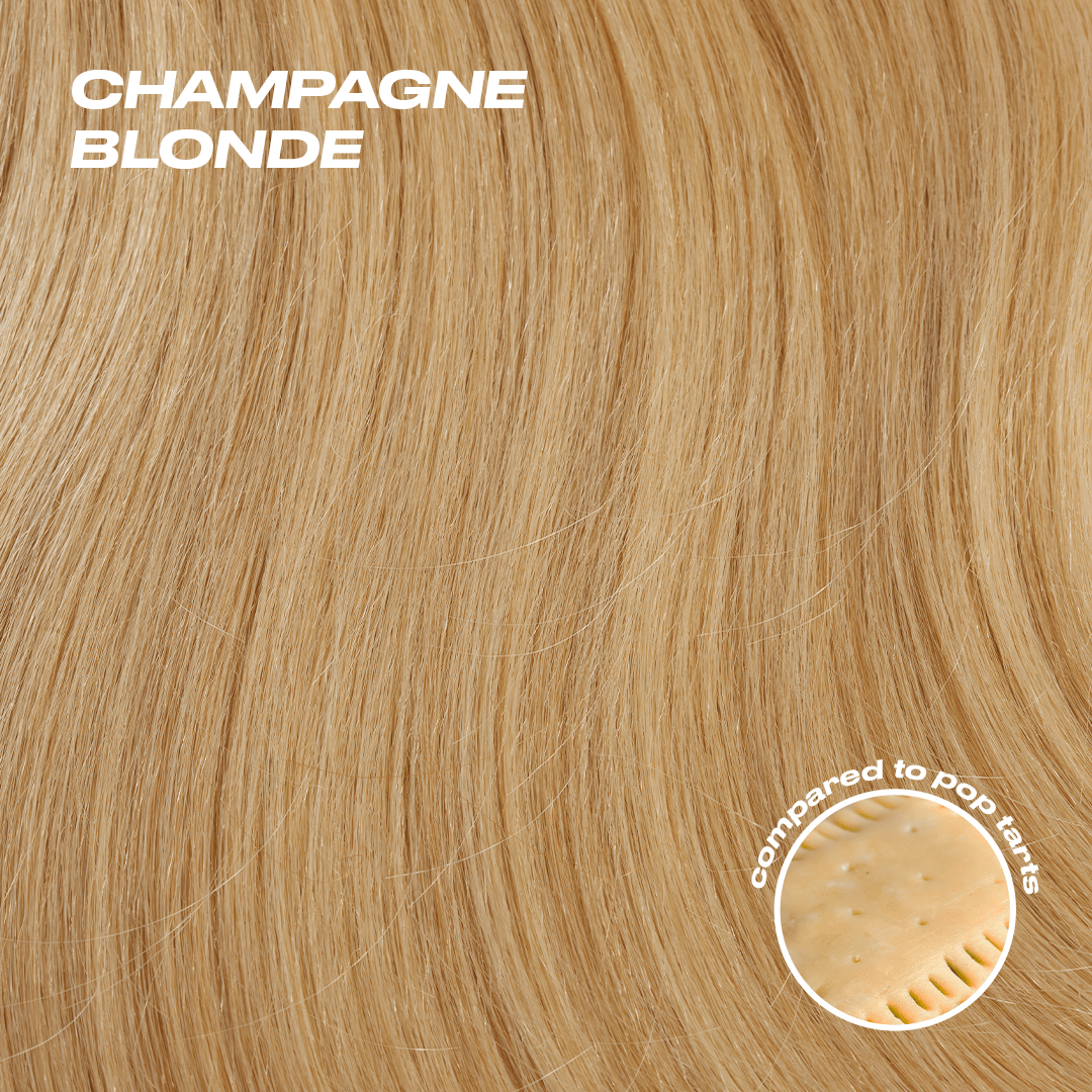 Lola Ponytail Extension - Champagne Blonde Champagne Blonde