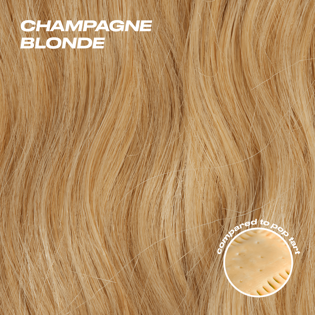 Sharon Ponytail Extension - Champagne Blonde - NO STOCK Champagne Blonde