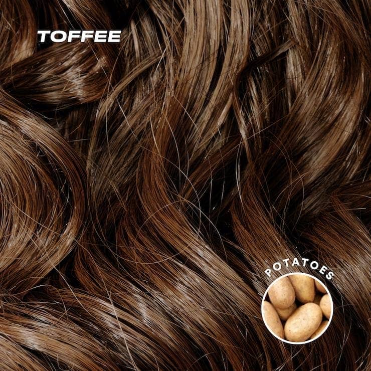 Lily Ponytail Extension - Toffee Toffee