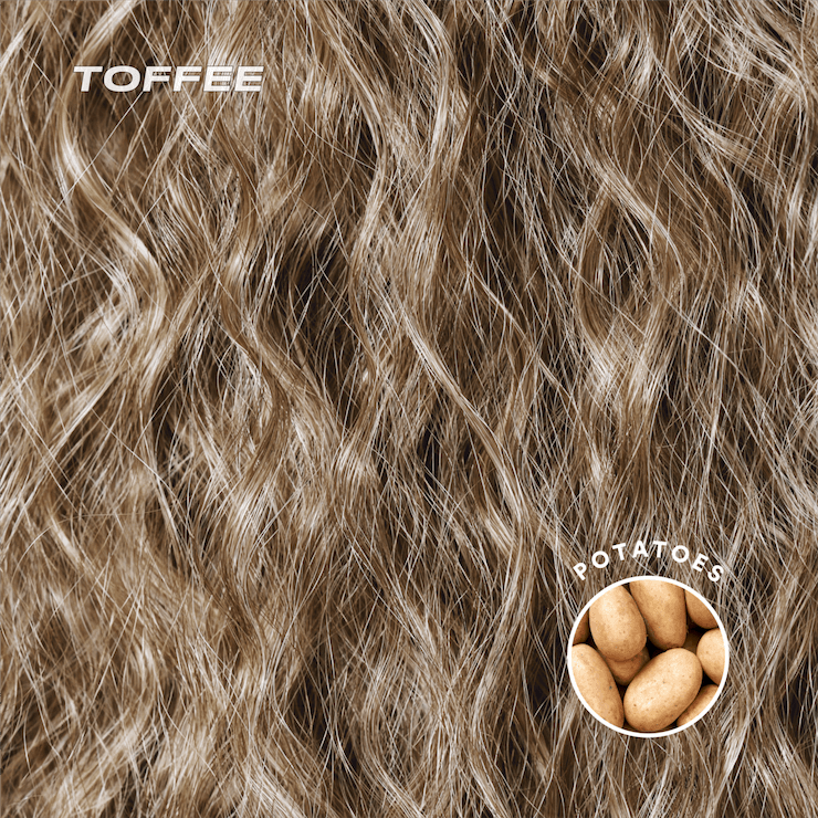 Shayla Ponytail Extension - Toffee Toffee