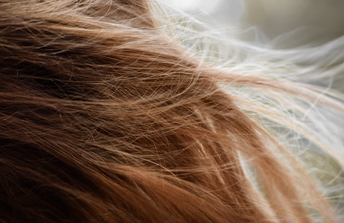 Best Ombre Clip-In Hair Extensions In 2026 - INH Hair