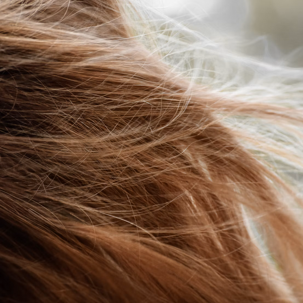 Best Ombre Clip-In Hair Extensions In 2026 - INH Hair