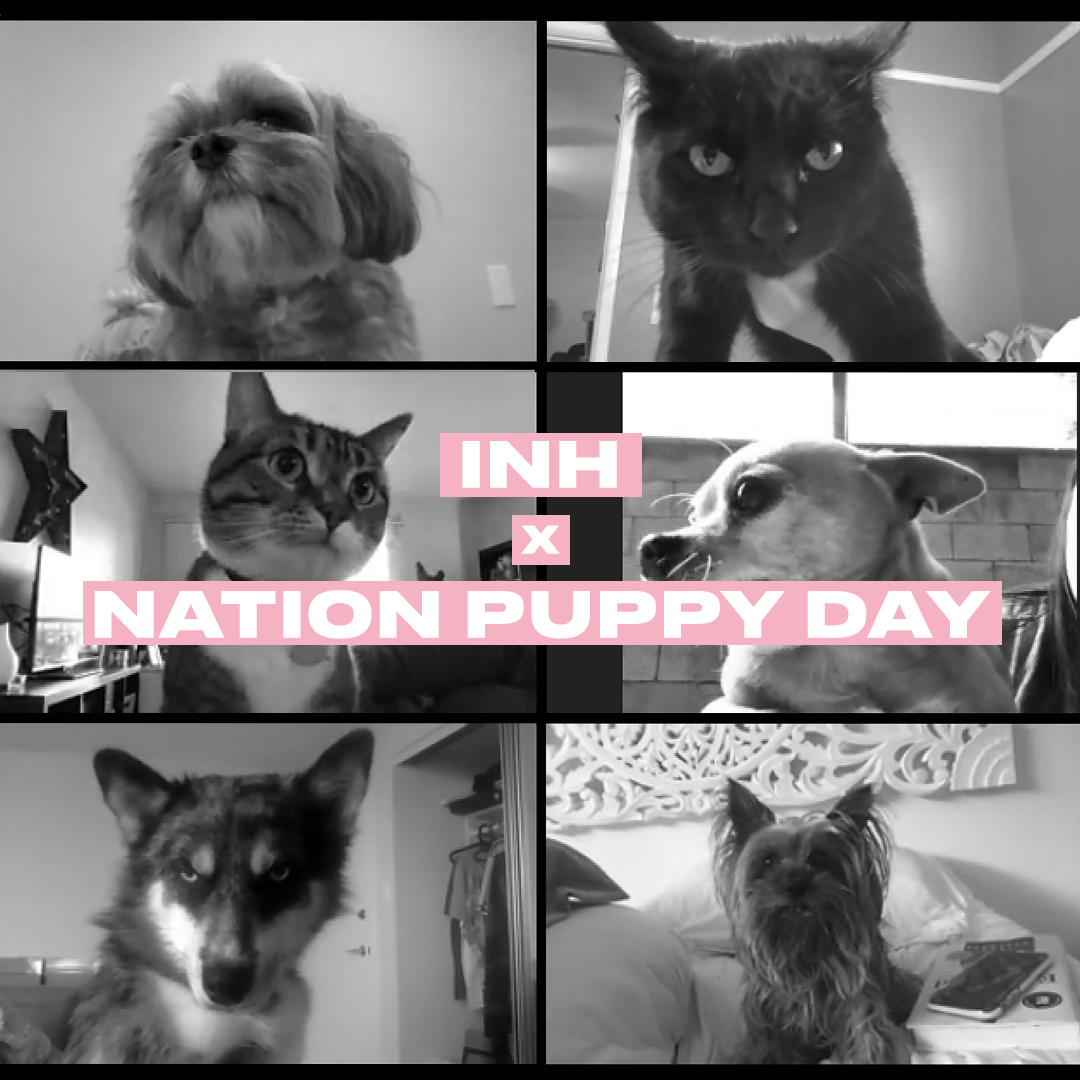 INH x National Puppy Day