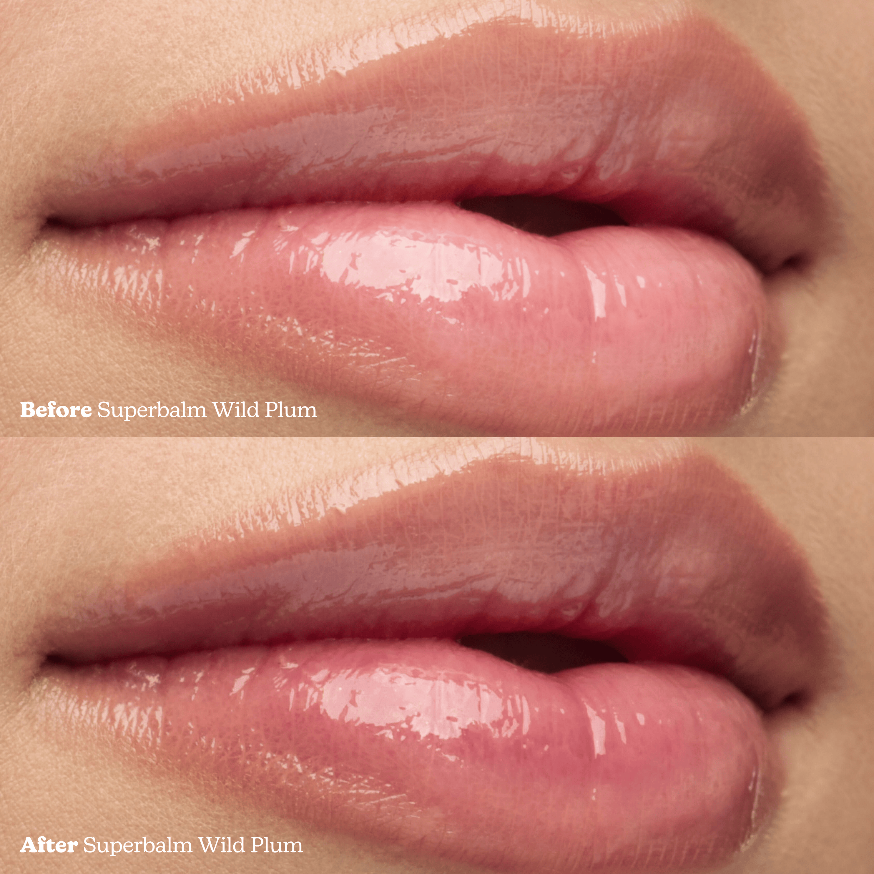 Superbalm Tripeptide-1 Lip Tint in Wild Plum